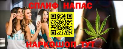 ешки Бийск