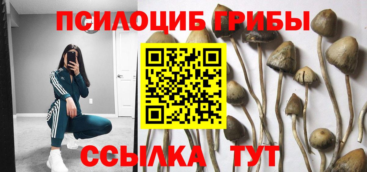 Галлюциногенные грибы ЛСД Кингисепп