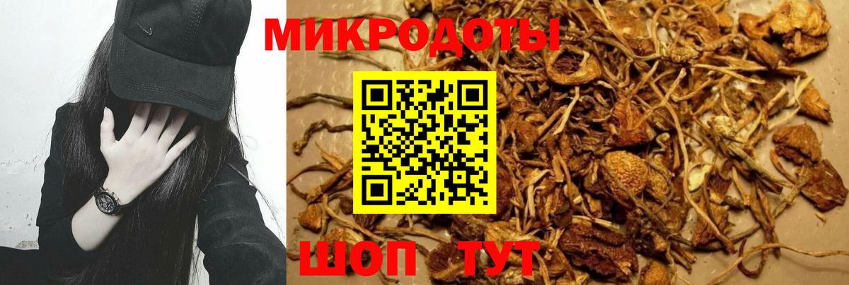 Марихуана Кингисепп