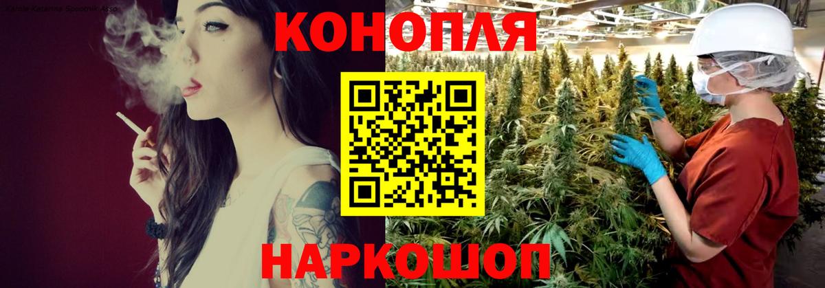 Бошки марихуана семена Кингисепп